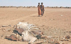 African Drought African Drought