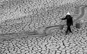 The Deadliest Drought