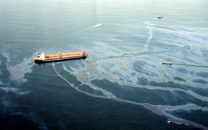 The Exxon Valdez Oil Spill